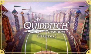 harry potter quidditch champions